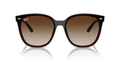 Ray-Ban RB4423D Transparent Brown sunglasses, front view — D.Sungkur Optometrist