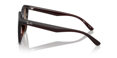 Ray-Ban RB4423D Transparent Brown sunglasses, side view — D.Sungkur Optometrist