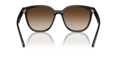 Ray-Ban RB4423D Transparent Brown sunglasses, three-quarter view — D.Sungkur Optometrist