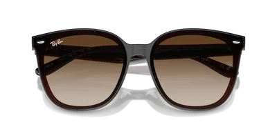 Ray-Ban RB4423D Transparent Brown sunglasses, lens detail — D.Sungkur Optometrist