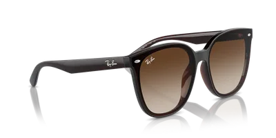 Ray-Ban RB4423D Transparent Brown sunglasses, temple detail — D.Sungkur Optometrist
