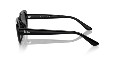 Ray-Ban RB4421D Black sunglasses, folded view — D.Sungkur Optometrist