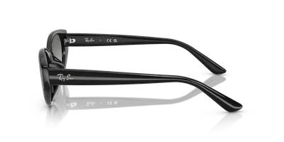 Ray-Ban RB4457D Black sunglasses, temple detail — D.Sungkur Optometrist