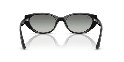 Ray-Ban RB4457D Black sunglasses, top view — D.Sungkur Optometrist