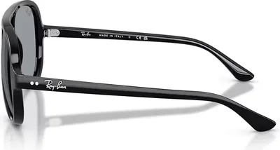 Ray-Ban RB4125 Polished Black sunglasses, top view — D.Sungkur Optometrist